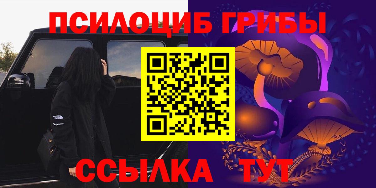 Псилоцибиновые грибы Psilocybe Златоуст