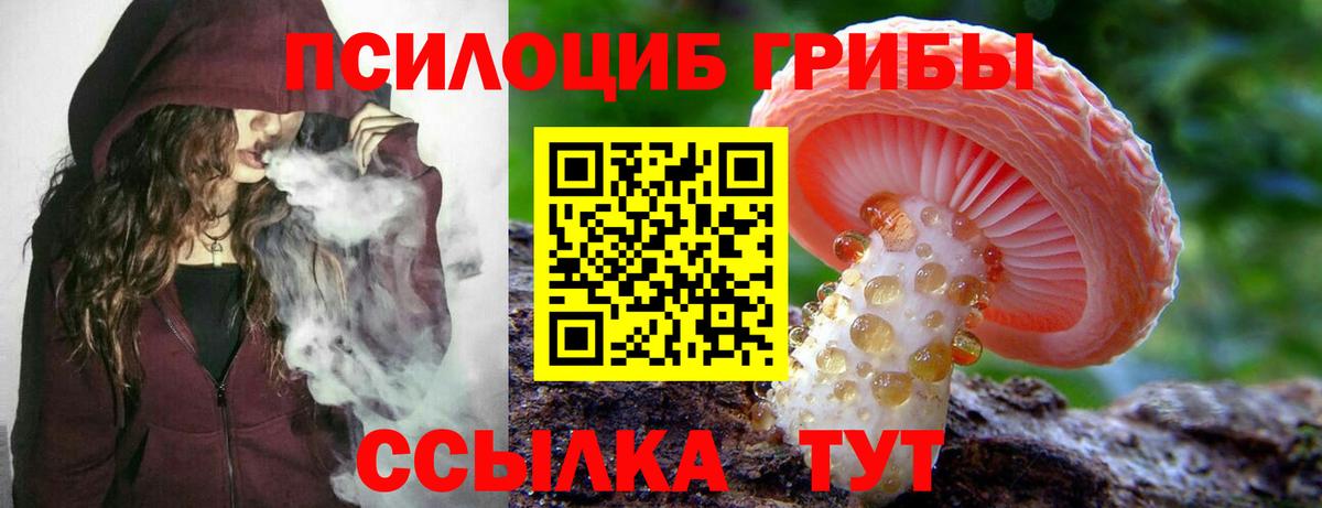 где купить наркотик  Вход с VPN  Златоуст  Псилоцибиновые грибы мухоморы  Галлюциногенные грибы мицелий 